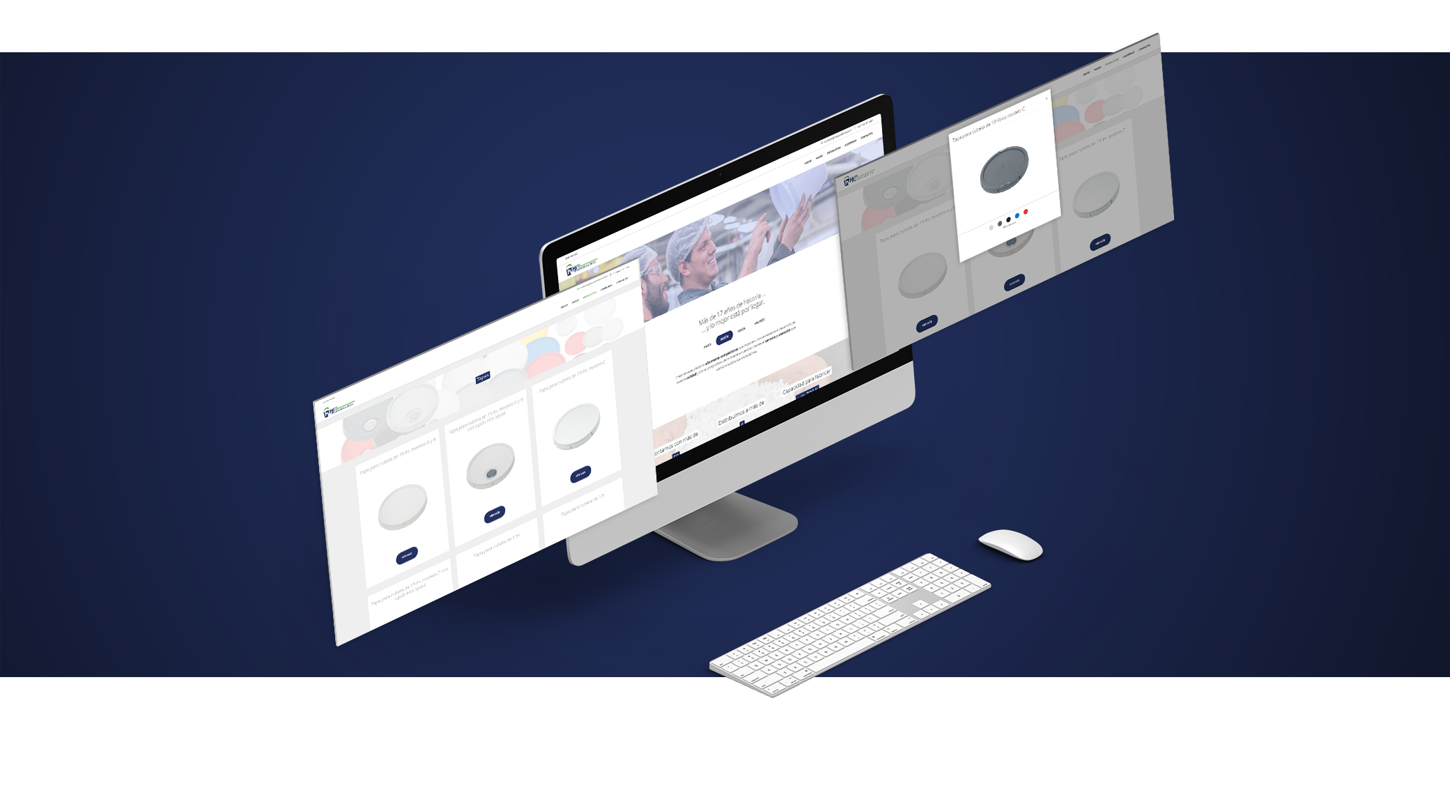 Sitio Web 